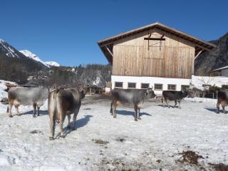 Honzarhof - Längenfeld - 3
