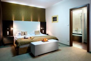 Hotel Turiec - Martin - 9