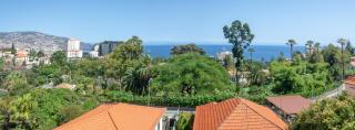 Condo Magnolia - Funchal - 6