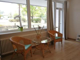 Central-Apt at Lake, CityCenter 5min, Fair 18min!!! - Nuremberg - 7