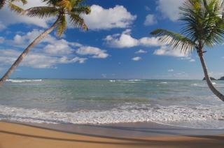 Hotel Atlantis - Las Terrenas - 9