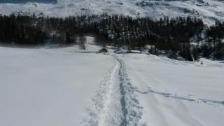 Chalet Edelweiss - 6