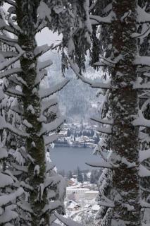 Studio les bleuets - Gérardmer - 3