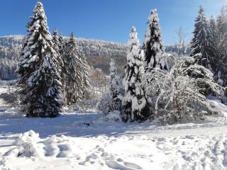 Studio les bleuets - 4