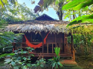 Cariblue Beach and Jungle Resort - Puerto Viejo - 6