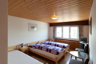 Gasthof Freienhof - Hellsau - 7