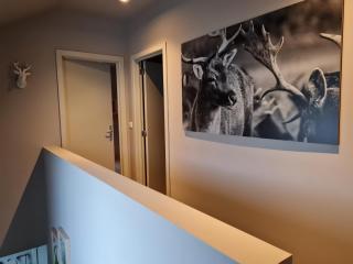 Ardennature vakantiehuizen met privé-sauna - 1