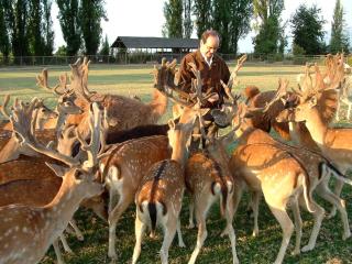 Afbeelding van de locatie