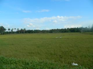 ZaMaRaYa Bed & Breakfast - 1