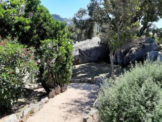 SOLE DI DUME - Sotta - 7