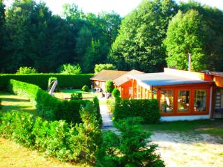 Ferienhäuser Waldidyll - 8