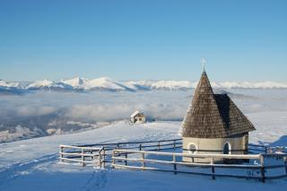 Alpengasthof Krische - Appartements - Murau - 1