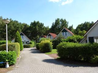 Vakantiepark Bosmeer Friesland - Noordwolde - 6