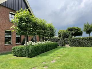 De Hörst - Rossum - 7