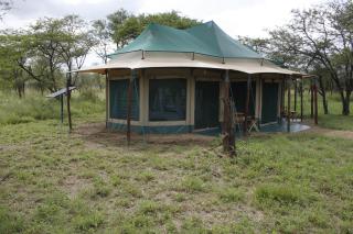 Osero Serengeti Luxury Tented Camp - 8