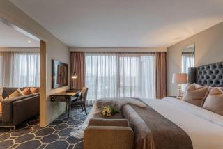 Athlone Springs Hotel - 8