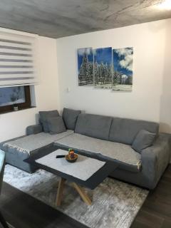 Suncani breg treska - Kopaonik - 1