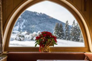 Kleine Gartenwohnung Haus Forelle - Selva di Val Gardena - 8