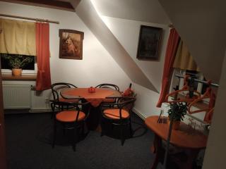 Penzion v chaloupce - 7