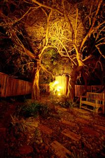 Emdoneni Lodge with Zululand Cat Conservation Project - Hluhluwe - 8