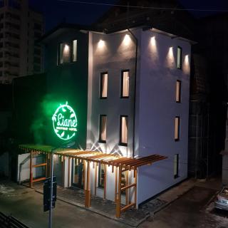 LIANE BOUTIQUE HOTEL - Câmpulung Moldovenesc - 9