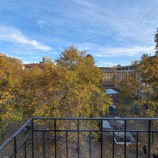 sonniges Zimmer mit Balkon im Herzen Mannheims - 7