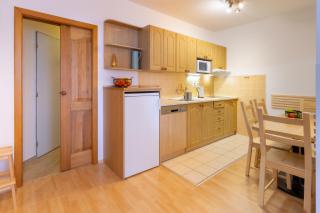Apartmány D u sjezdovky - Horní Mísečky - 5