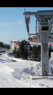 Suncani breg treska - 7