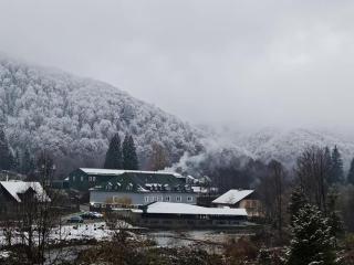 HOTEL HO2 POIANA MARULUI - Poiana Mărului - 9