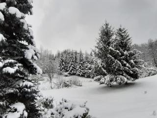 Lac de Verde - Golf&Leisure Resort - 5