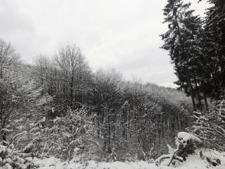 Ferienwohnung Rauszeit Lennestadt Sauerland - 7