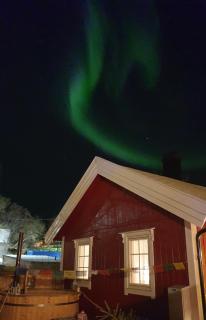 Nydelig hytte i Kabelvåg Lofoten - 1