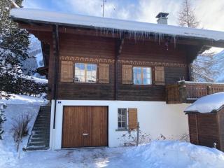 Rose de Noël - Les Diablerets - 8
