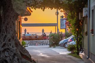 Apartments Oliva - 1