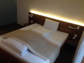 Hotel Engel am Bahnhof - Wädenswil - 9