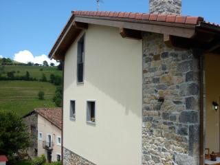 Casa Rural La LLosina - Demués - 4