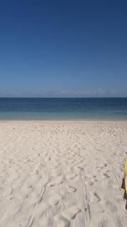 Seacastle Deluxe Studio - Montego Bay - 3