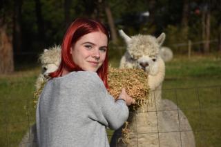 Mijen's Manor - Healesville - 2