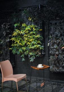 Zoot Kochi Infopark - Kochi - 1