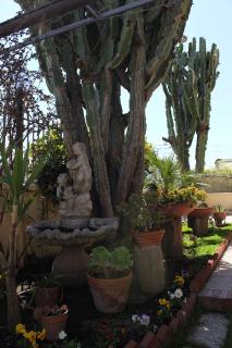 Domus Felix - Ercolano - 1