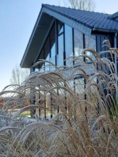@TheLodge - - 9