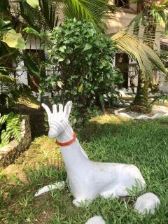 Boblin la Mer hotel restaurant plage - Grand-Bassam - 4