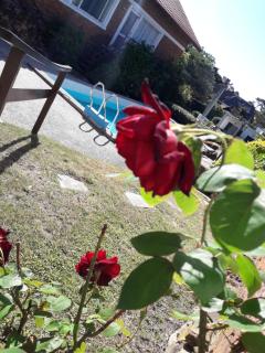 Apto tipo loft en Complejo Bahama, a metros del mar y zona muy tranquila - 8