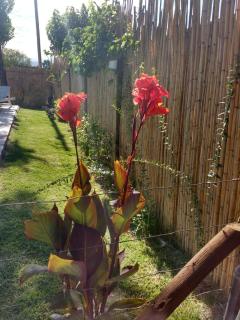 El Indio - Casa de campo - 7