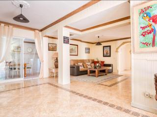 Charming villa in Marbella with private pool - Marbella - 2