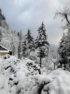 Abode Home Cool & Homely Place - 5