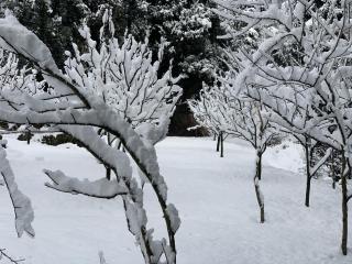 Abode Home Cool & Homely Place - 6