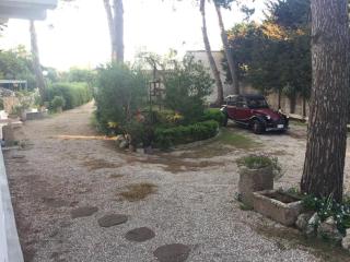 Villa nel Salento - Casa Maria e Casa Glory - Porto Cesareo - 0