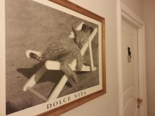 Hotel Il Gatto - Rapallo - 7