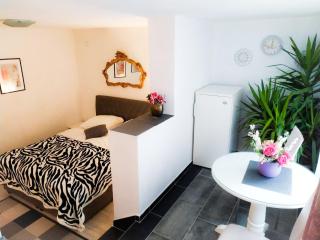 APARTMAN ANDREA 4 - Banja Luka - 9